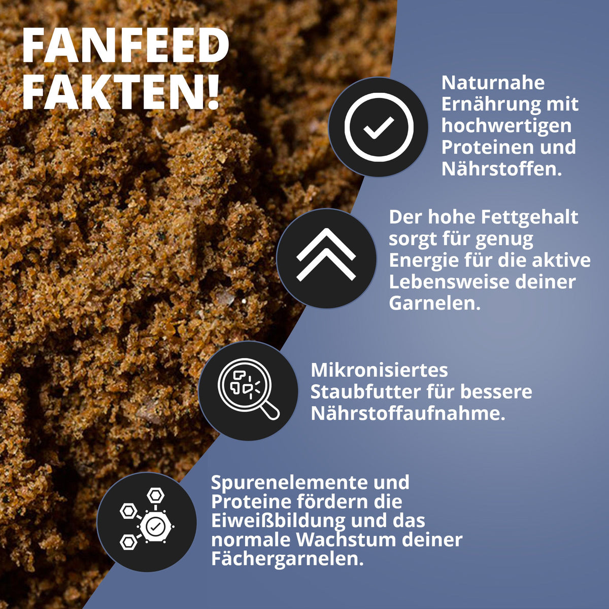 NatureHolic - Fächerfeed - Fächergarnelenfutter - 30g - Fanfeed