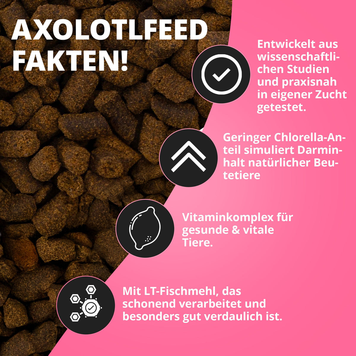 NatureHolic Axolotl Babyfeed - Jungtier Axolotl Softfutter