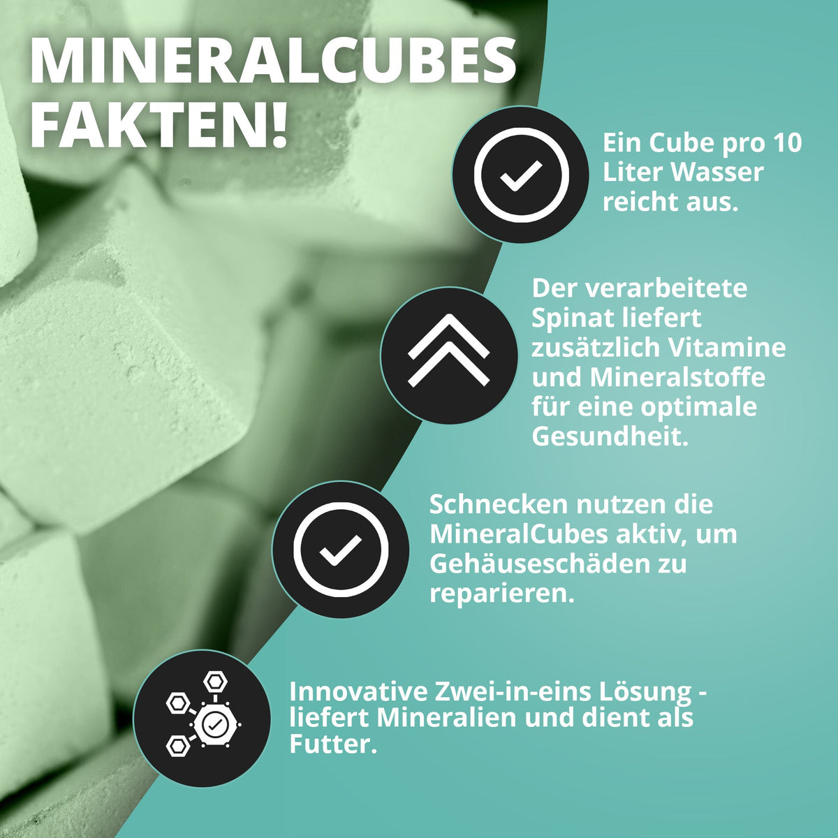 NatureHolic - MineralCube - Spinach Power - 47ml - Mineralversorgung + Ferienfutter