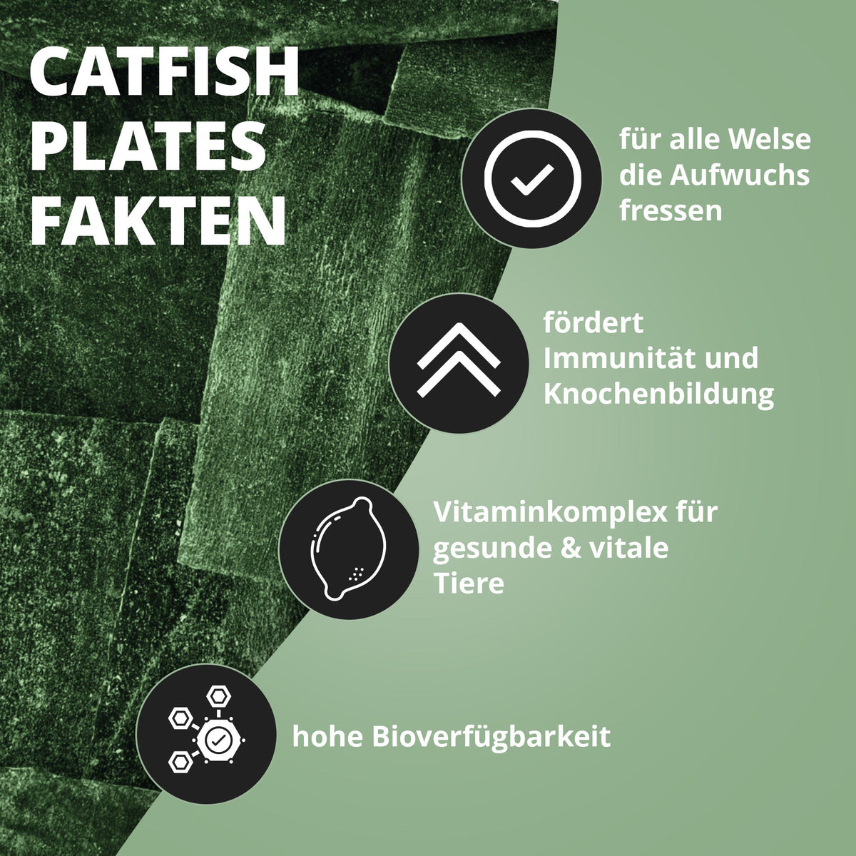 NatureHolic - CatfishPlates - Algentafeln (5 stk.) für alle Saugwelse / L - Welse