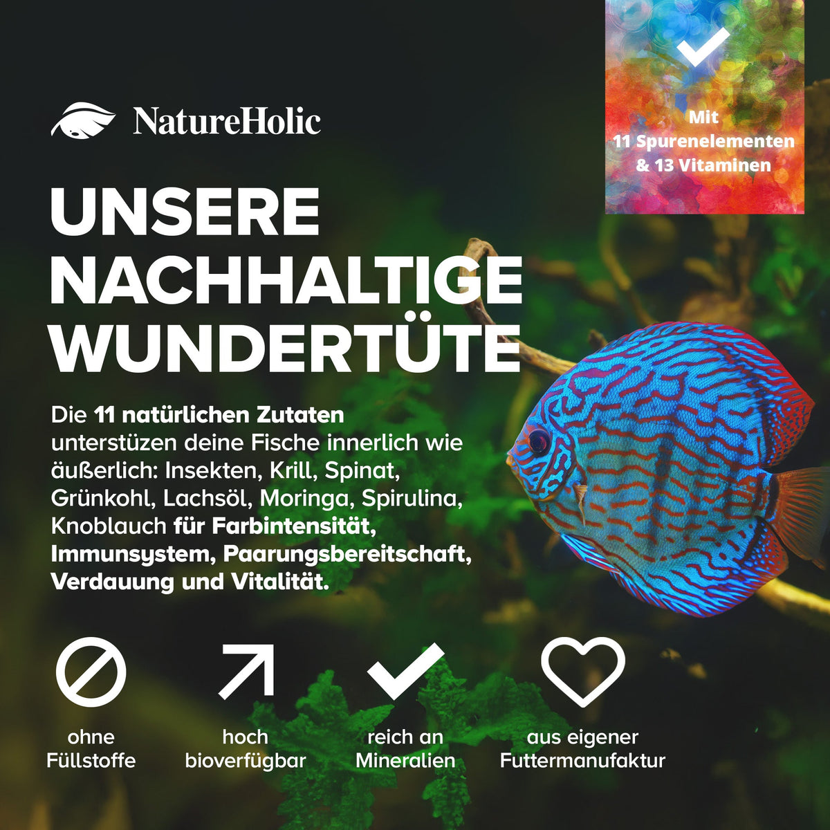 Zierfischfutter Farbverstärkung