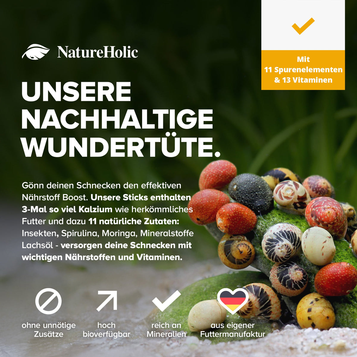 NatureHolic - Schneckenfeed Sticks - 30g - Snailfeed Sticks