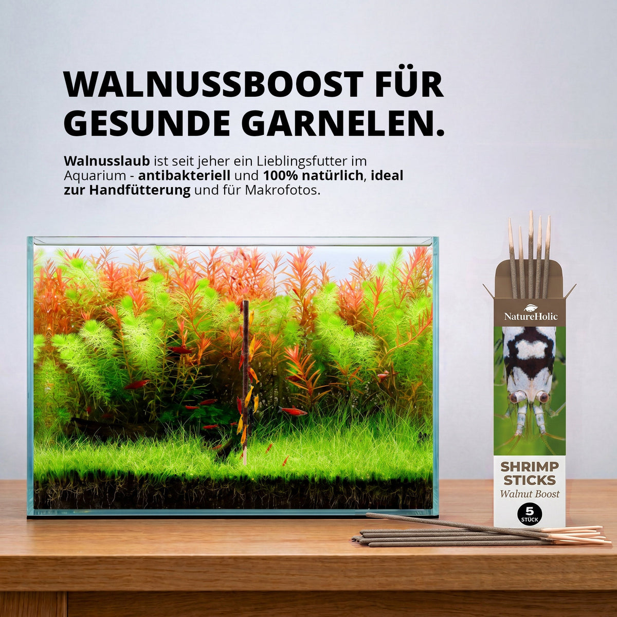 NatureHolic - Garnelen Lollies „Walnut Boost“ - 5 Lollis fürs Aquarium