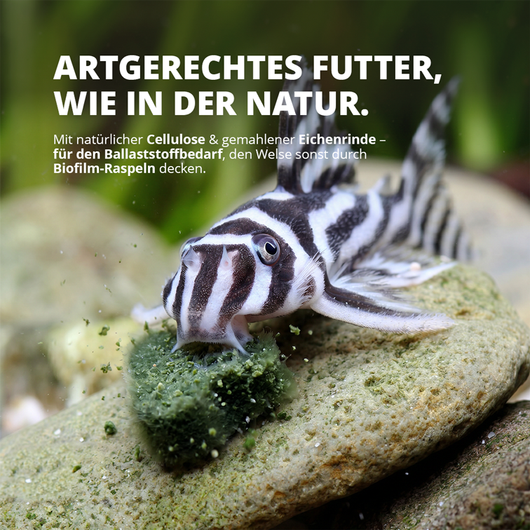 NatureHolic Wels Soft Drops —Softes Futter für Welse 100 g