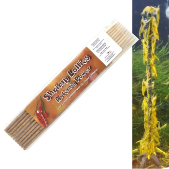 Shrimp-Lollies Artemia-Power! (10 Stück)