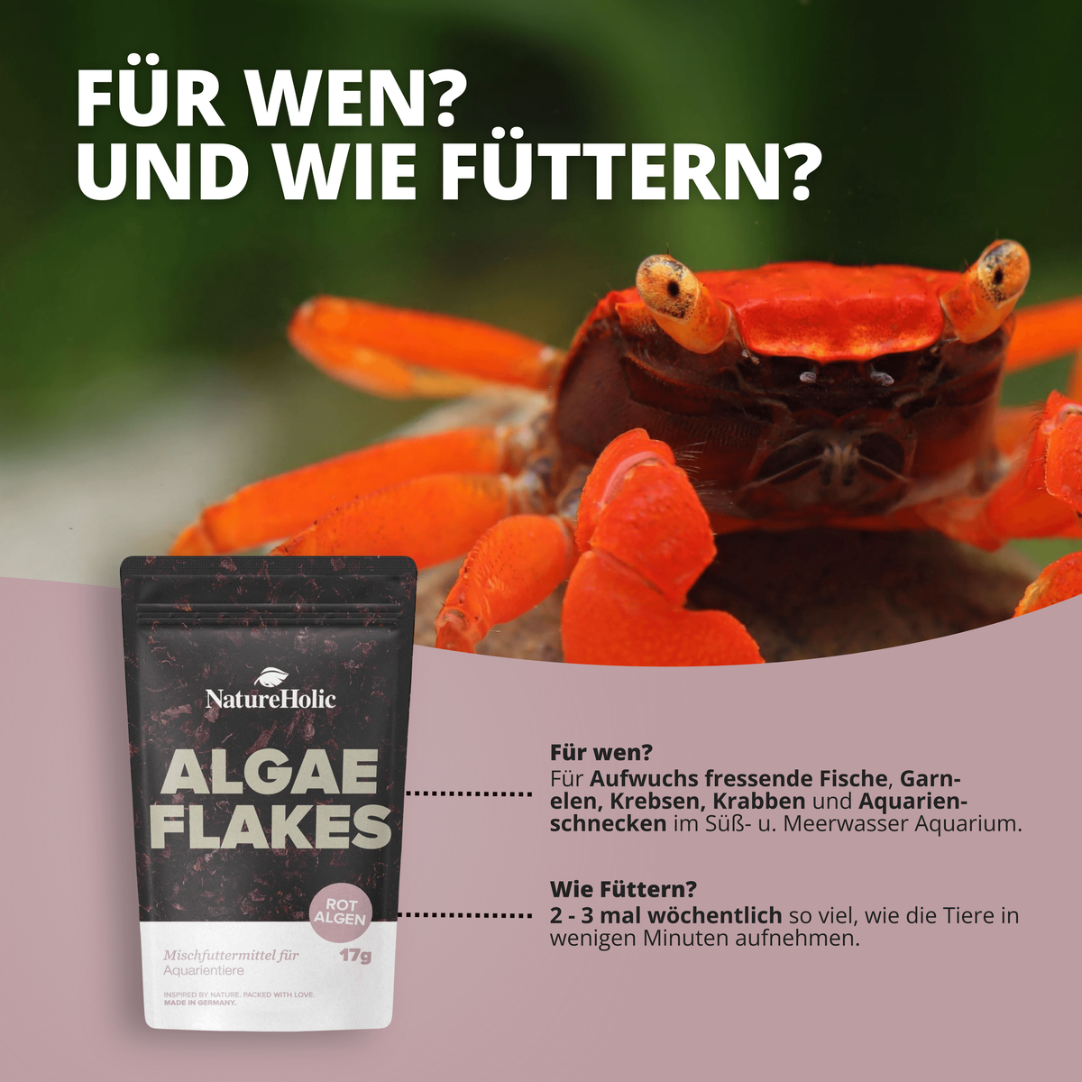 NatureHolic AlgaeFlakes - 100ml Algenflocken