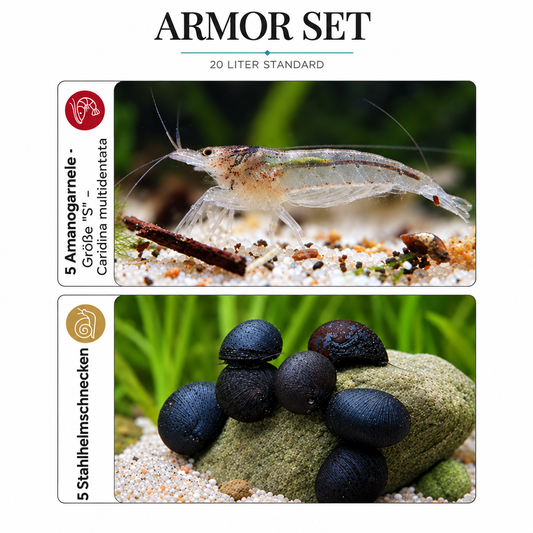 Armor-Set mit Amanogarnelen und angepassten Mengenangaben