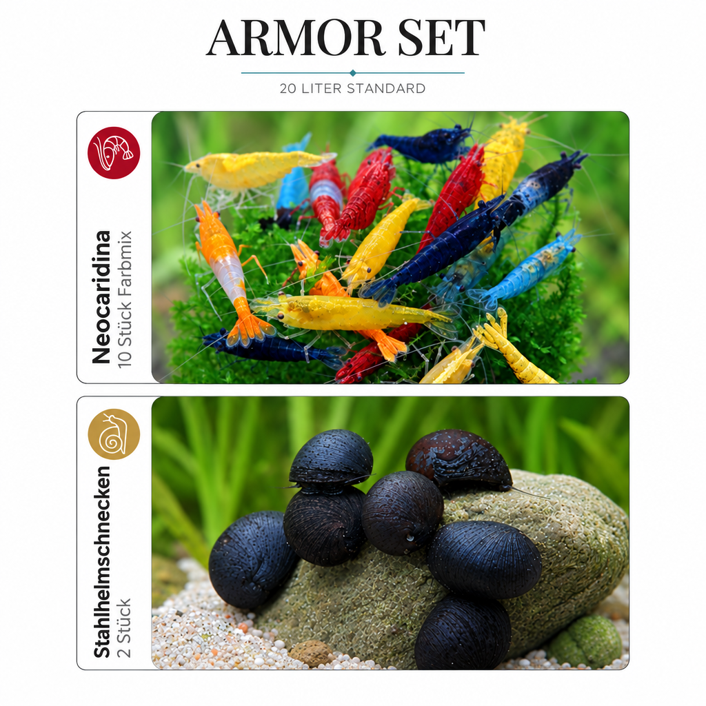 Armor-Set mit einheitlicher Ausrichtung