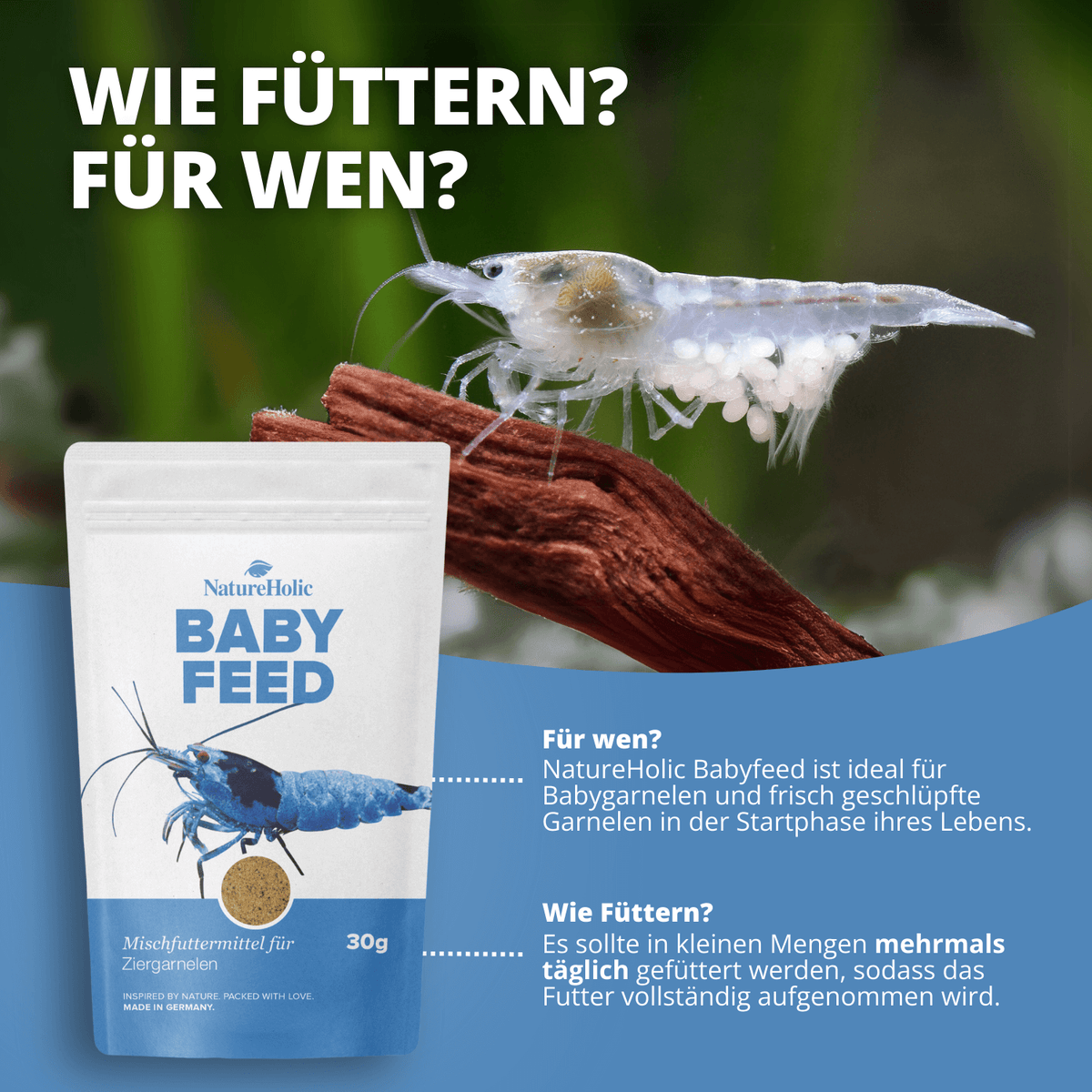 NatureHolic - Babyfeed Aufzuchtfutter für Garnelen - 30g