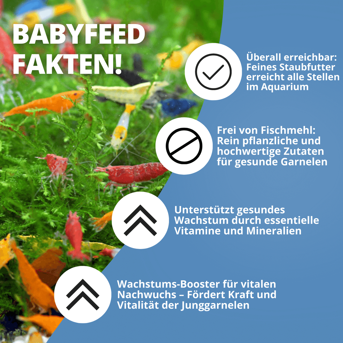 NatureHolic - Babyfeed Aufzuchtfutter für Garnelen - 30g