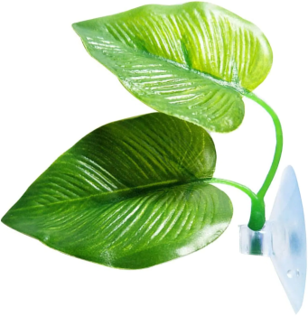 Betta-Blatt (grün)