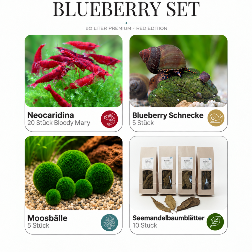 Blueberry-Set 50 Liter mit Walnussblätter-Foto