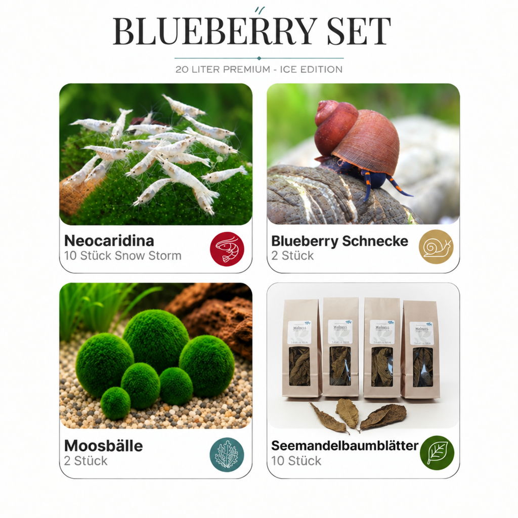 Blueberry Set Ice Edition mit ausgetauschtem Blätterfoto