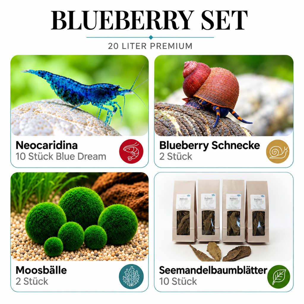 Blueberry-Set mit ausgetauschtem Foto unten rechts