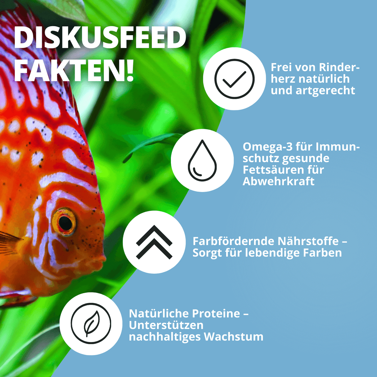 NatureHolic Discusfeed - 130g Granulatfutter für Diskusfische