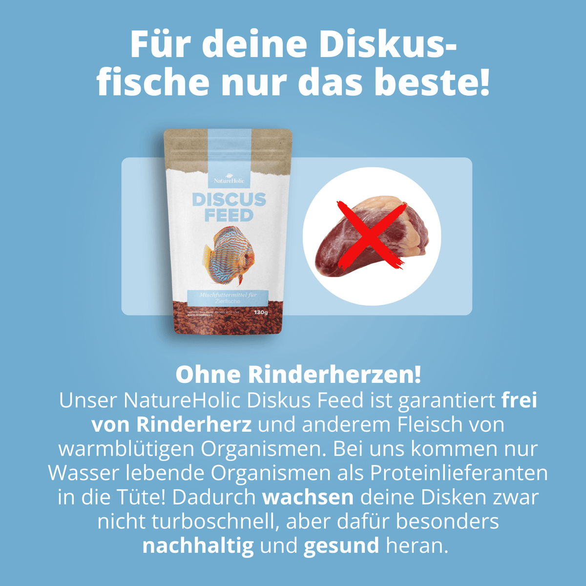 NatureHolic Discusfeed - 130g Granulatfutter für Diskusfische