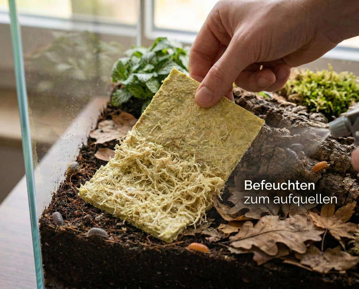 NatureHolic - AsselMoss, für  Moosecken im Asselterrarium