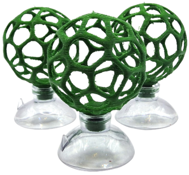 Garnelen-Fußball (mini)