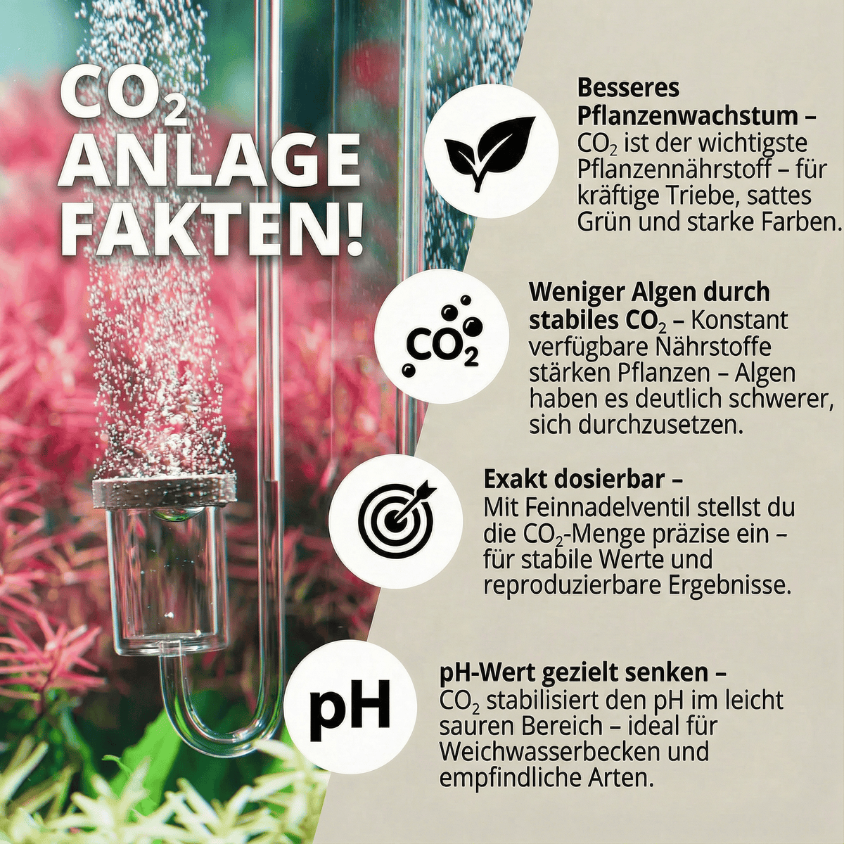 Sodastream CO2 Druckminderer