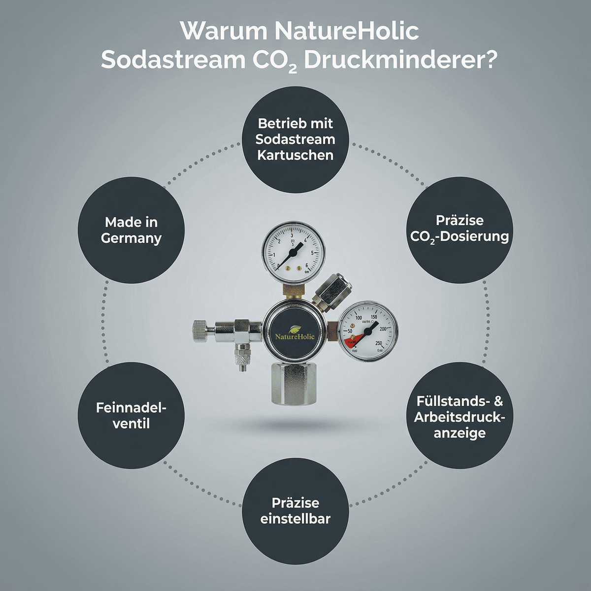 Sodastream CO2 Druckminderer