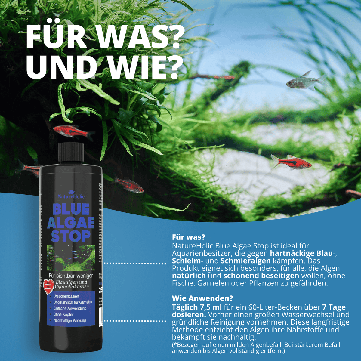 Blue Algae Stop