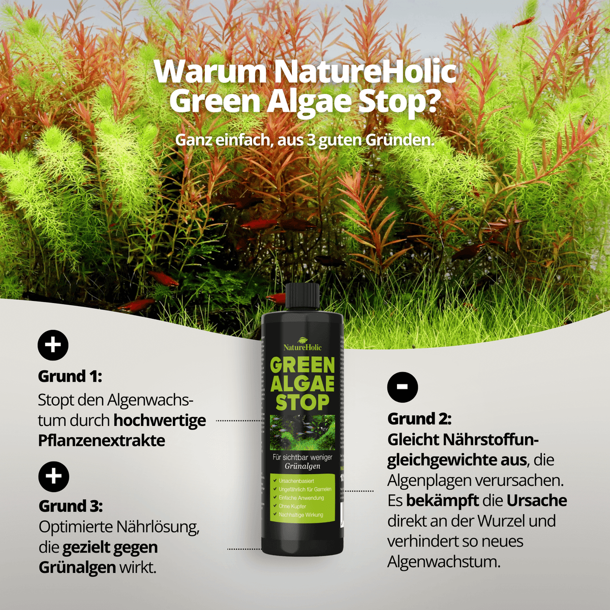 Green Algae Stop