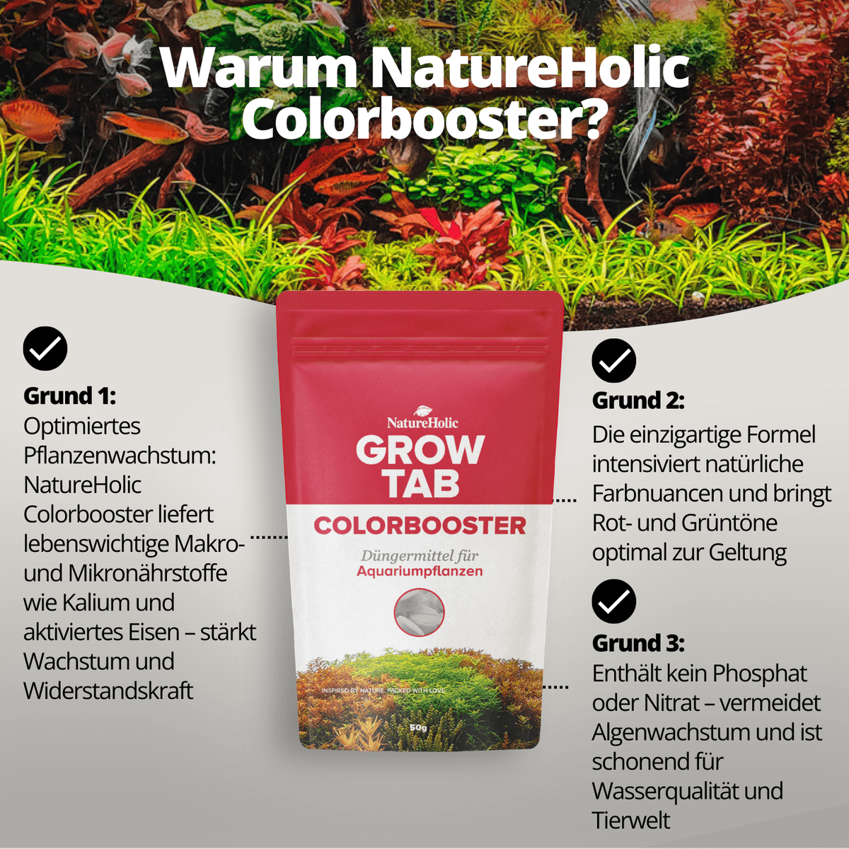NatureHolic Grow Tab - Colorbooster