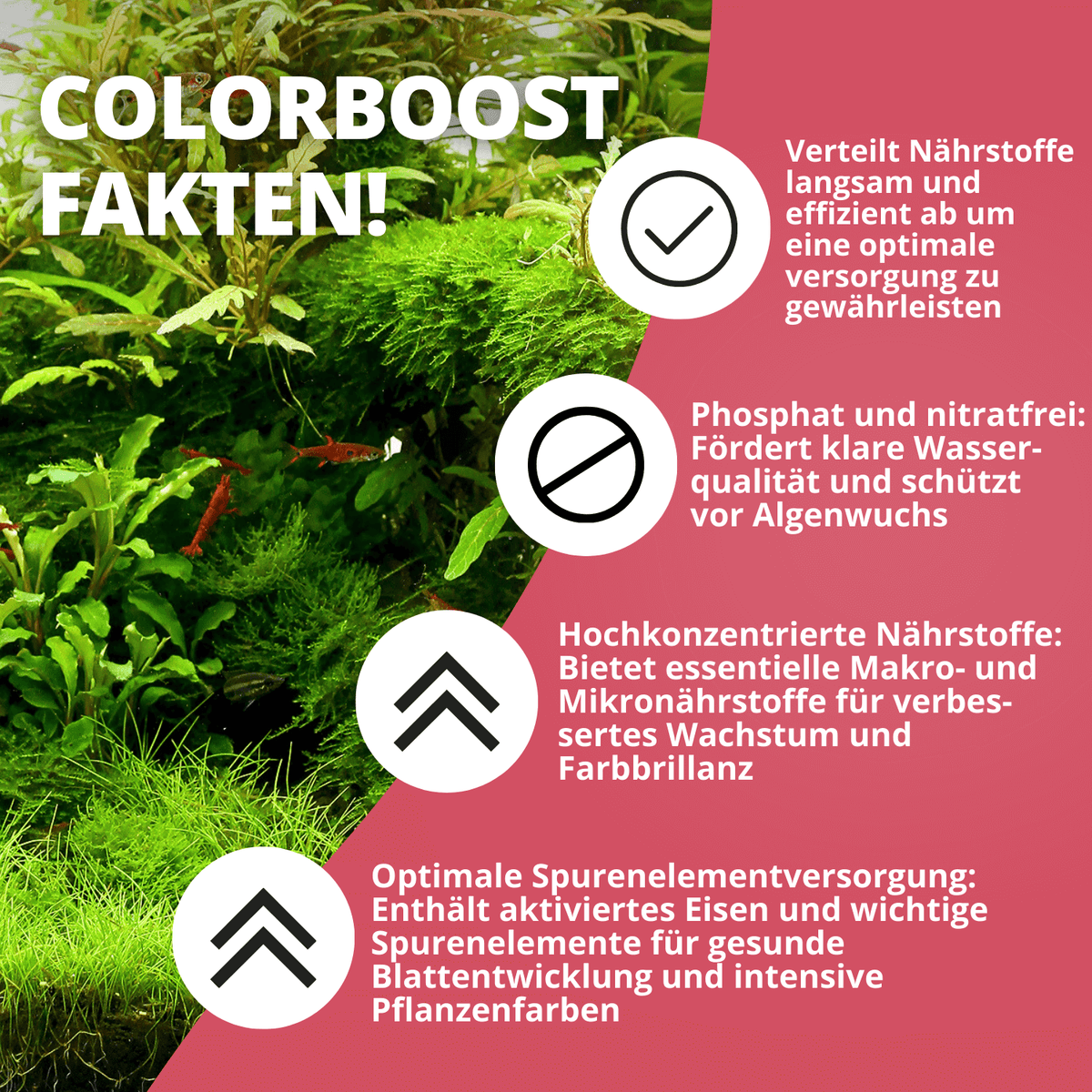 NatureHolic Grow Tab - Colorbooster