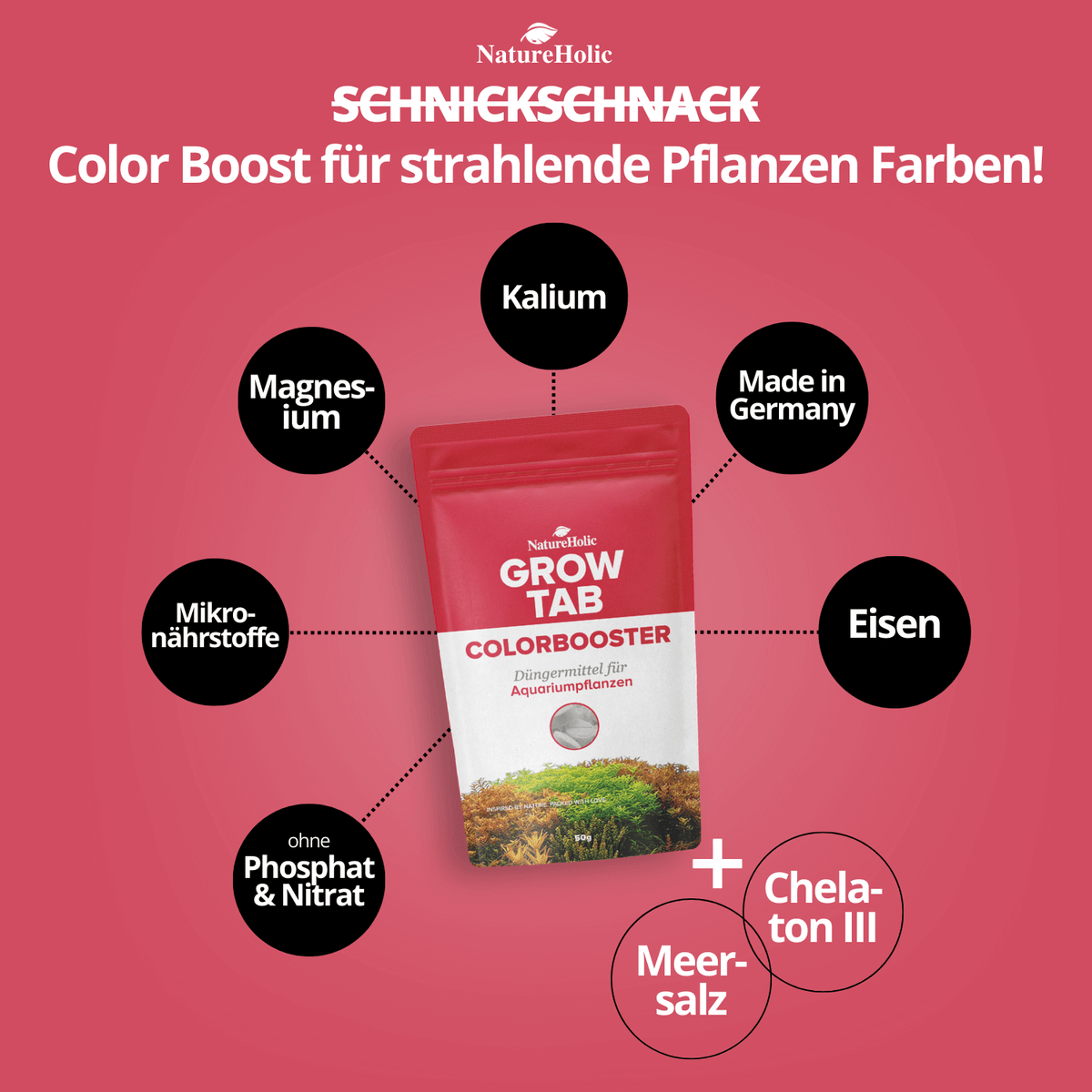 NatureHolic Grow Tab - Colorbooster