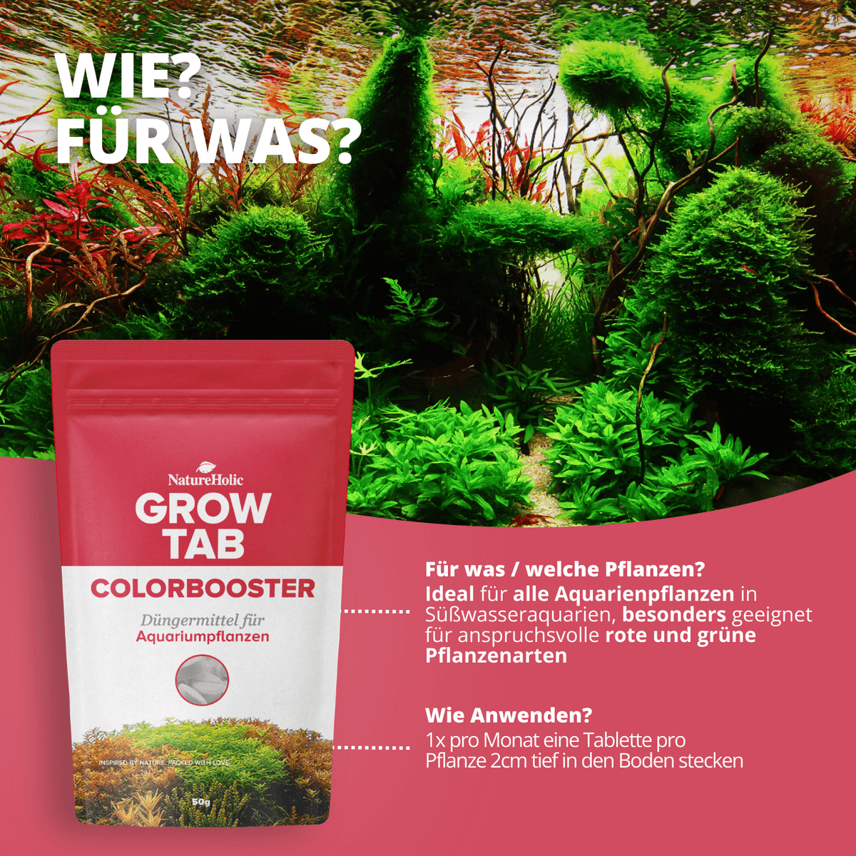 NatureHolic Grow Tab - Colorbooster