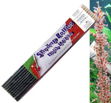 Shrimp-Lollies Italia-Edition (10 Stück)