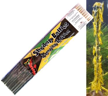 Shrimp-Lollies Jamaica-Edition (10 Stück)