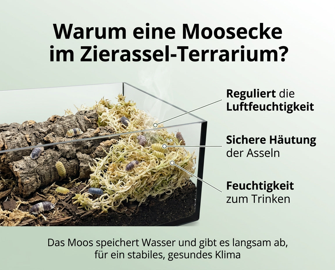 NatureHolic - AsselMoss, für  Moosecken im Asselterrarium