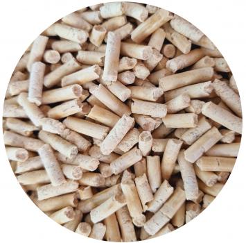Pastinaken-Sticks (50g)