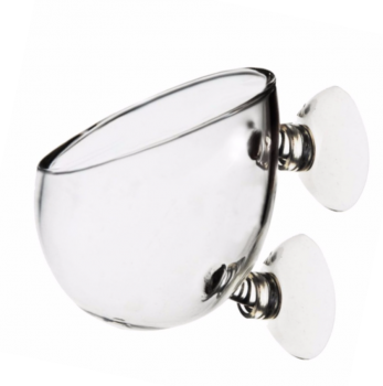 Pflanzschale aus Glas (mit zwei Saugnäpfen)
