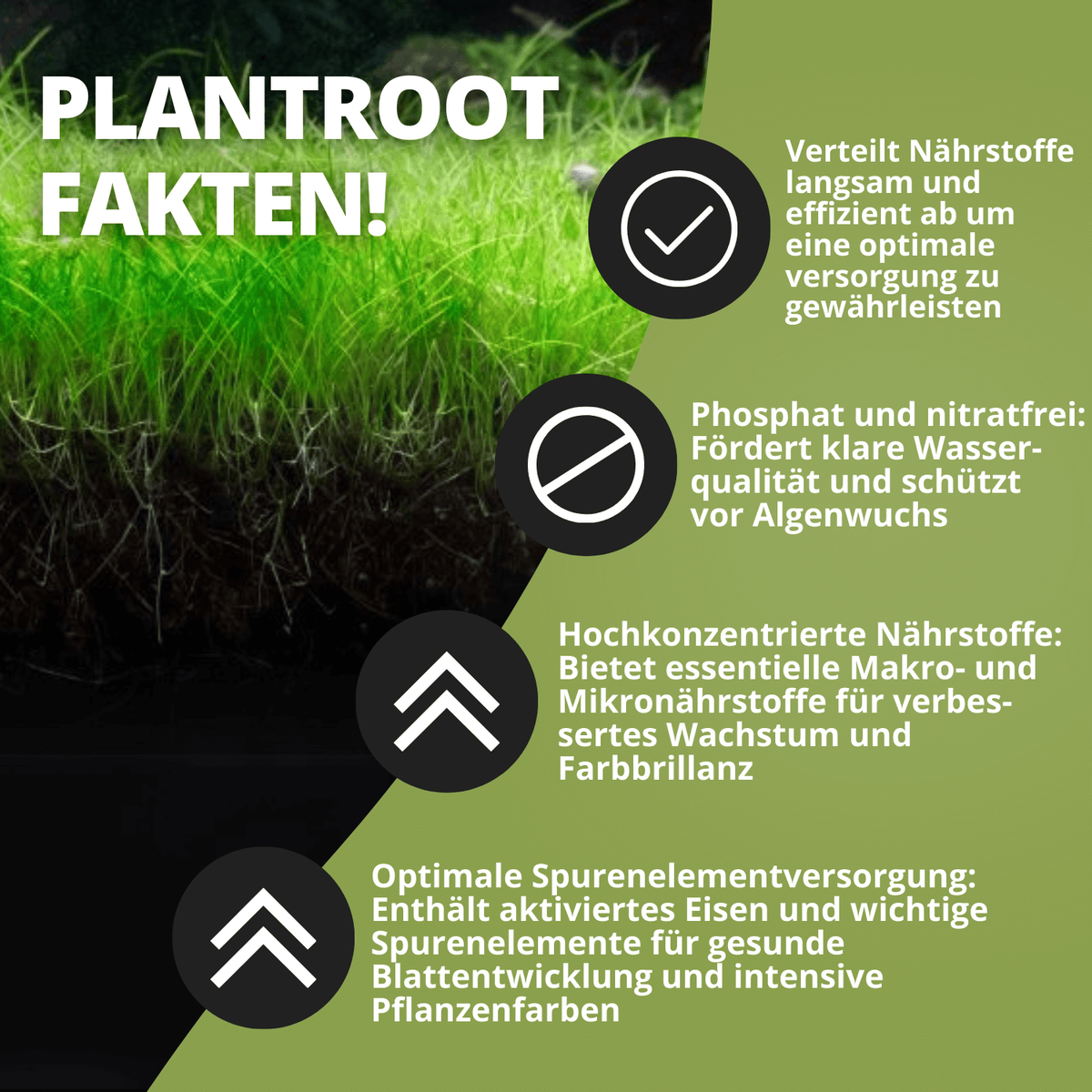 Grow Tab Plantroot