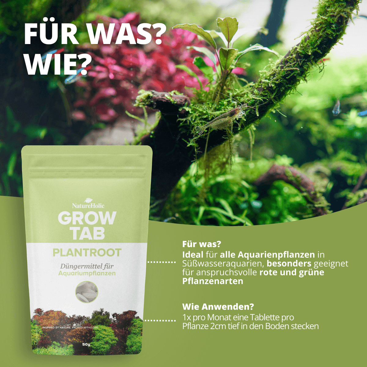 Grow Tab Plantroot