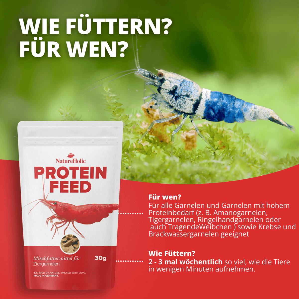 NatureHolic - Proteinfeed Garnelenfutter - 30g