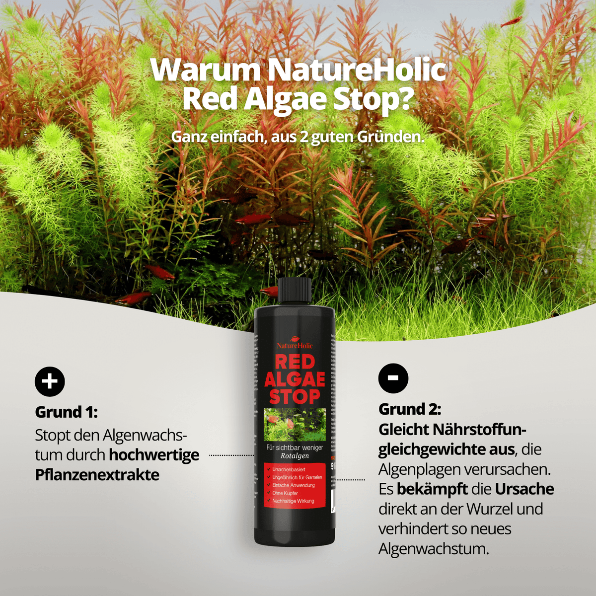 NatureHolic Red Algae Stop - 250ml Rotalgen Entferner