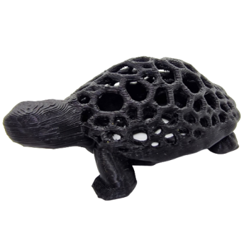 Moos-Schildkröte (schwarz)