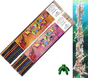 Shrimp-Lollies Super-Mix-Set (2x11 Stück) + Halter