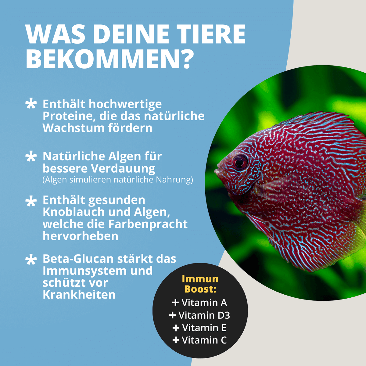 NatureHolic Discusfeed - 130g Granulatfutter für Diskusfische