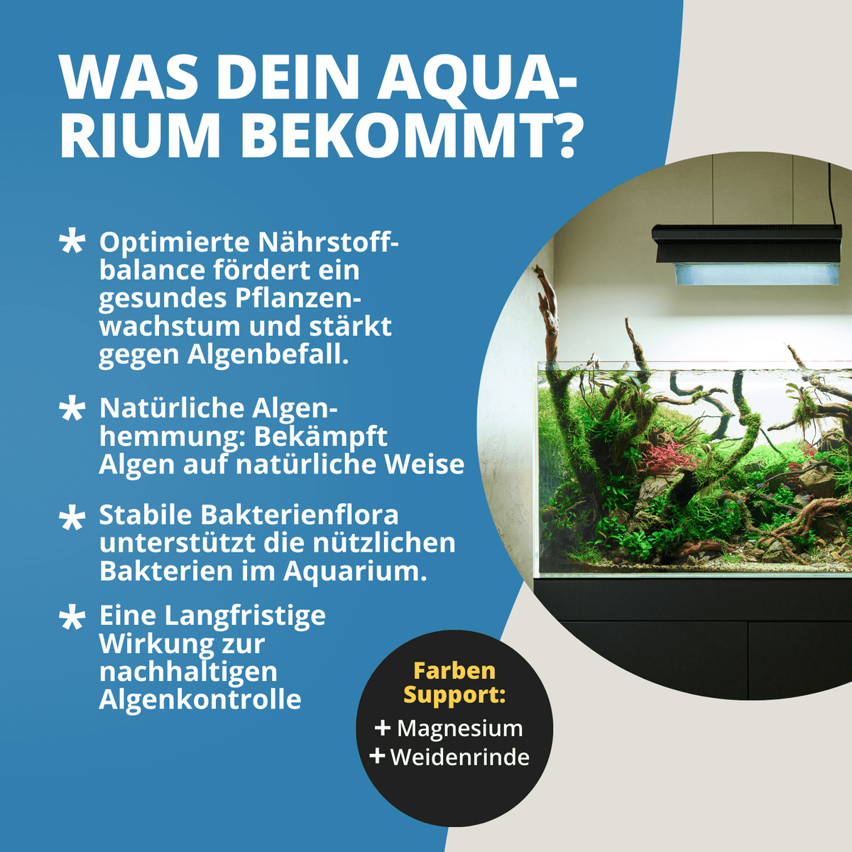 Blue Algae Stop