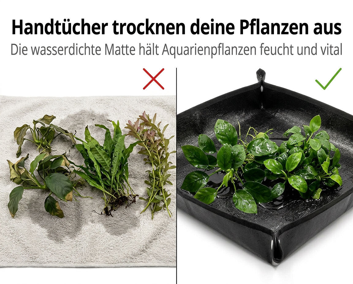 NatureHolic Aquascaping Matte